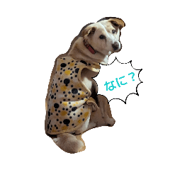Ayaka_20260806203310