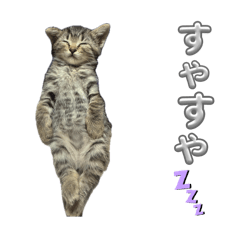Yama_20260806224919
