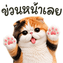 สามสี ทำอะไร