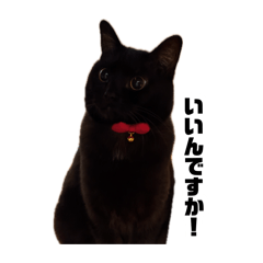 Kurosuke_20260806230038