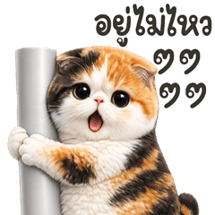 สามสี ทำอะไร2