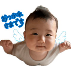 ando_20260806213511