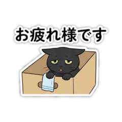 Natsu_20260806232110