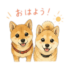 t&h@vit_20260806232238