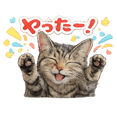 choko_fukui