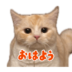 Latte_001