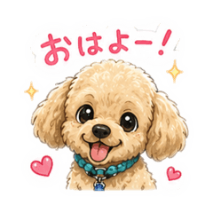 lily_20260806233414