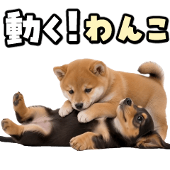 Animated! Full of Doggies