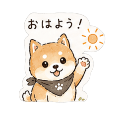 yorimichi-dog_20260806203037