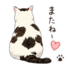 mochi_20260806210832
