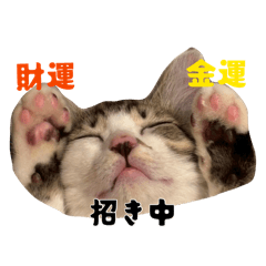 Chimaki daily life