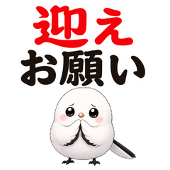 家人聯絡用的療癒銀喉長尾山雀