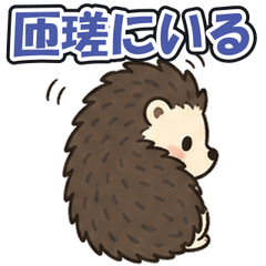 Sosa Navi: Tsundere Hedgehog