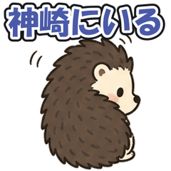 Kozaki Shimosa: Tsundere Hedgehog