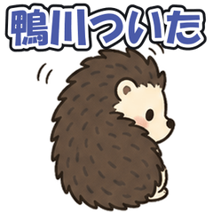 Kamogawa Chiba: Tsundere Hedgehog