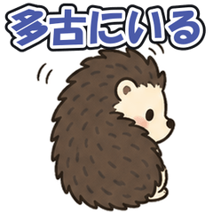 Tako Kuriyama: Tsundere Hedgehog