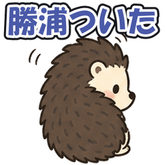 Katsuura Chiba: Tsundere Hedgehog