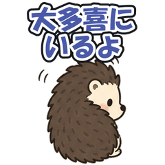 Otaki Chiba: Tsundere Hedgehog