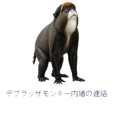De Brazza Monkey Private Update