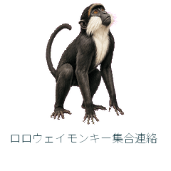 Roloway Monkey Meeting Point