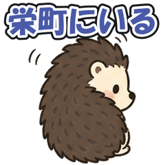 Sakae Ajiki: Tsundere Hedgehog