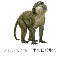 Allen Swamp Monkey Rain Plan