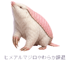 Pink Fairy Armadillo Soft Decline