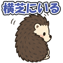Yokoshibahikari: Tsundere Hedgehog