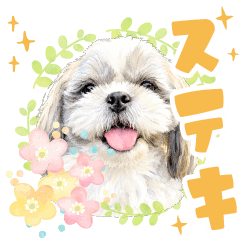DAIFUKU Shih tzu STAMP 2