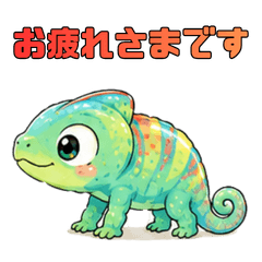 Panther Chameleon Pan-kun2