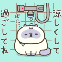 ☆とろけるネコの夏☆ブルーポイント