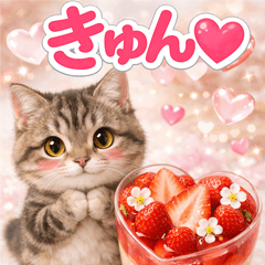 cat in sweets np