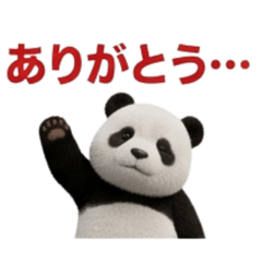 Lazy Panda: Everyday Words