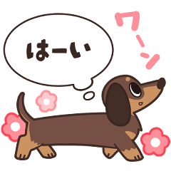 The dachshund is thinking(26D)
