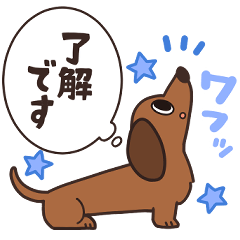 The dachshund is thinking(26E)