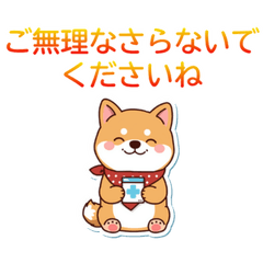 Polite Shiba Inu: Summer & Care Phrases
