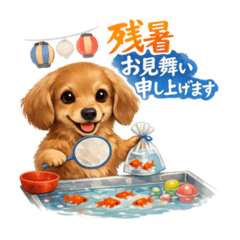 Brown Miniature Dachshund for Summer
