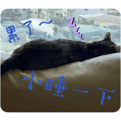 FKM的貼圖