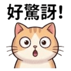喵喵好驚訝