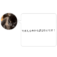 miku_20260806220920