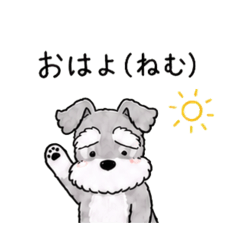 syuru na dog