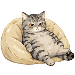 SliverGreyLoepardSpottedCatLife