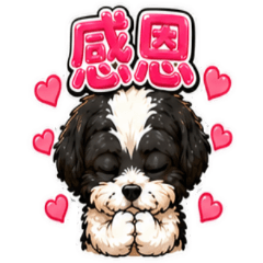 Cute Shih Tzu's Daily Adventure [ZiFu]