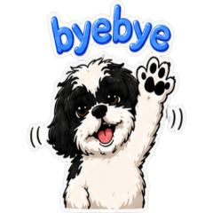 Shih Tzu Dog's Happy Daily Life [ZiFu]