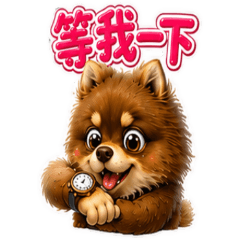 Happy Pomeranian's Sweet Life [ZiFu]