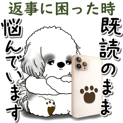 B&W Shih tzu (When you need help)