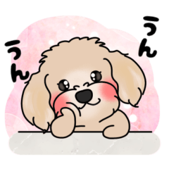 Pretty dog milk