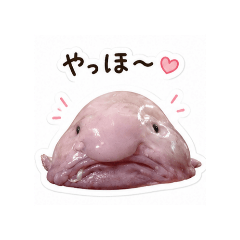purin_20260807002009