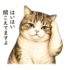 kinako_20260807000749