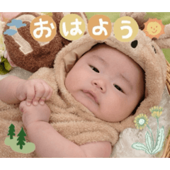tsugu_20260807004916